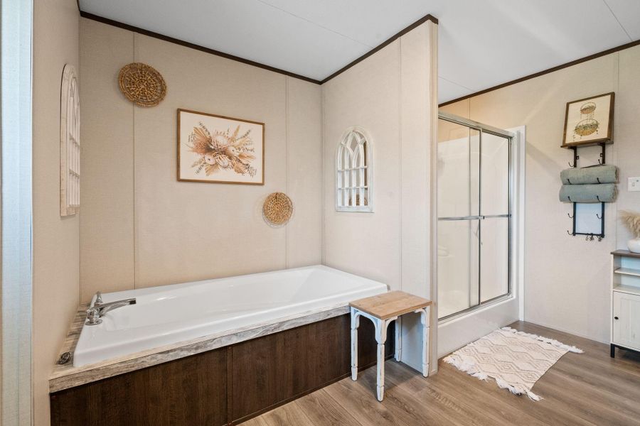 Primary Shower and Soaking Tub