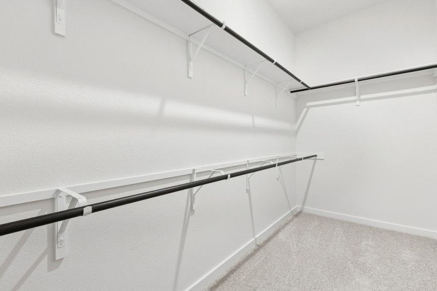 Spacious closet featuring light colored carpet