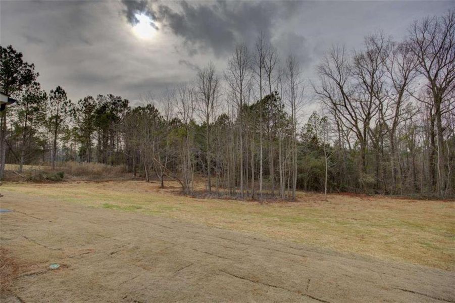 Natural landscape and outdoor views near in Covington (Image 7). Natural landscape and outdoor views near in Covington (Image 7).