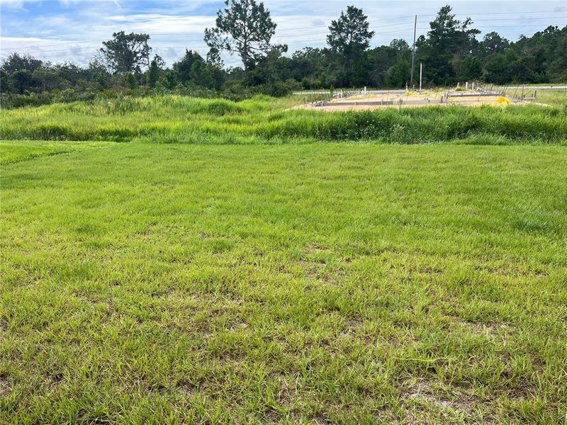Natural landscape and outdoor views near  in Sebring (Image 7).