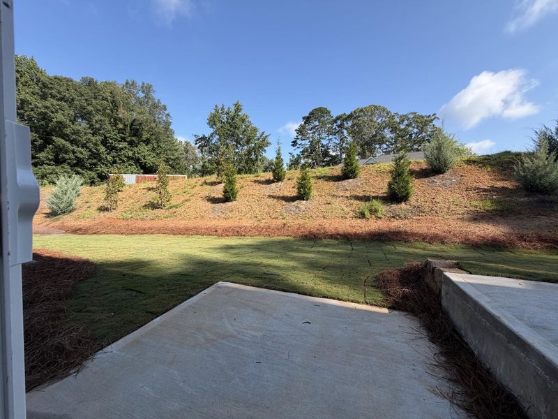 Image 12 of a home in Villas at Dawsonville Townhomes. Image 12 of a home in Villas at Dawsonville Townhomes.
