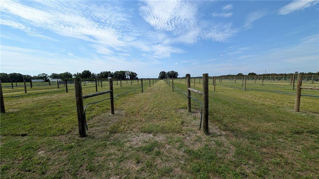 Natural landscape and outdoor views near  in Wauchula (Image 39).