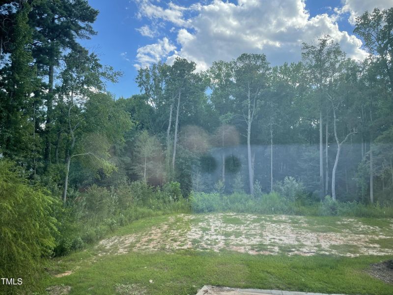 2nd Bedroom Window View