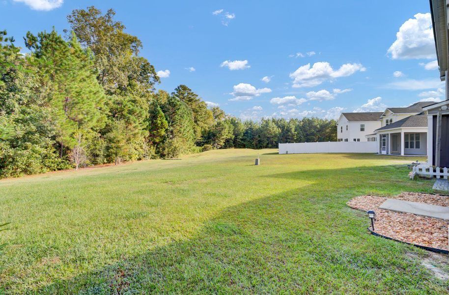Natural landscape and outdoor views near  in Goose Creek (Image 31).