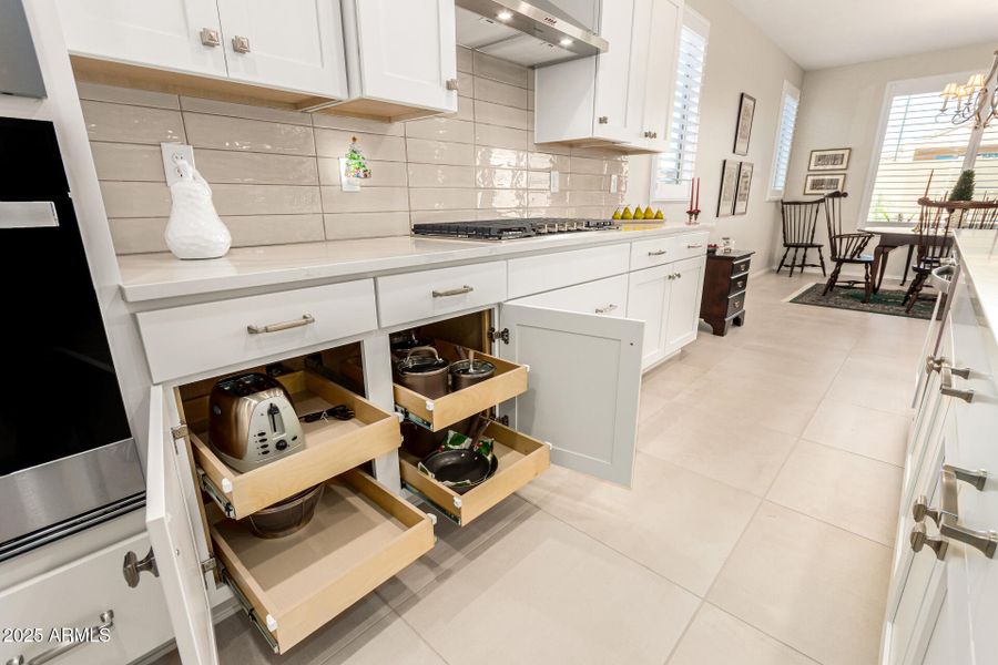 10-Cactus Wren 10-Cactus Wren