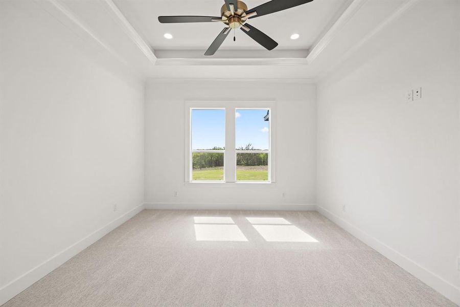 Primary room featuring a tray ceiling, a ceiling fan, baseboards, and light carpet