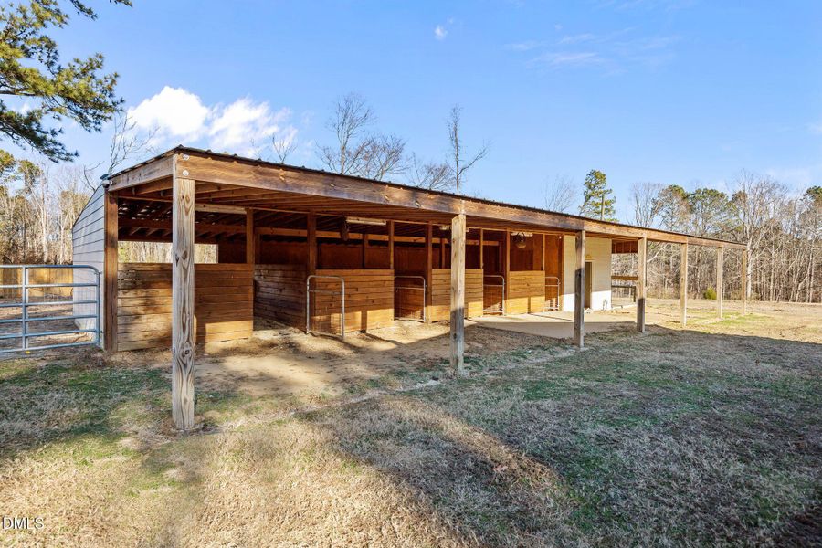 26-web-or-mls-IMG_9241