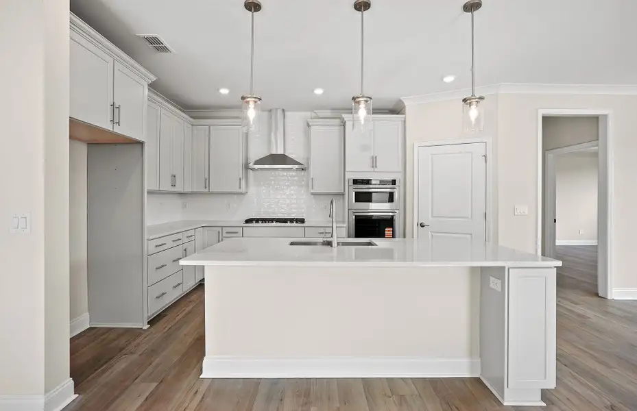 Furnished interior view inside a new home in Carolina Riverside, Belmont (Image 9).