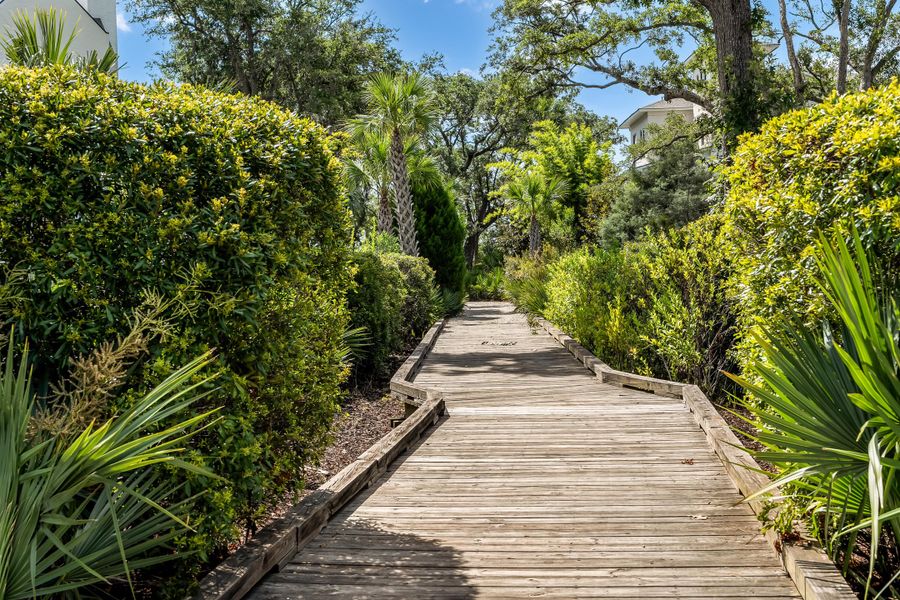 Natural landscape and outdoor views near in Charleston (Image 37). Natural landscape and outdoor views near in Charleston (Image 37).