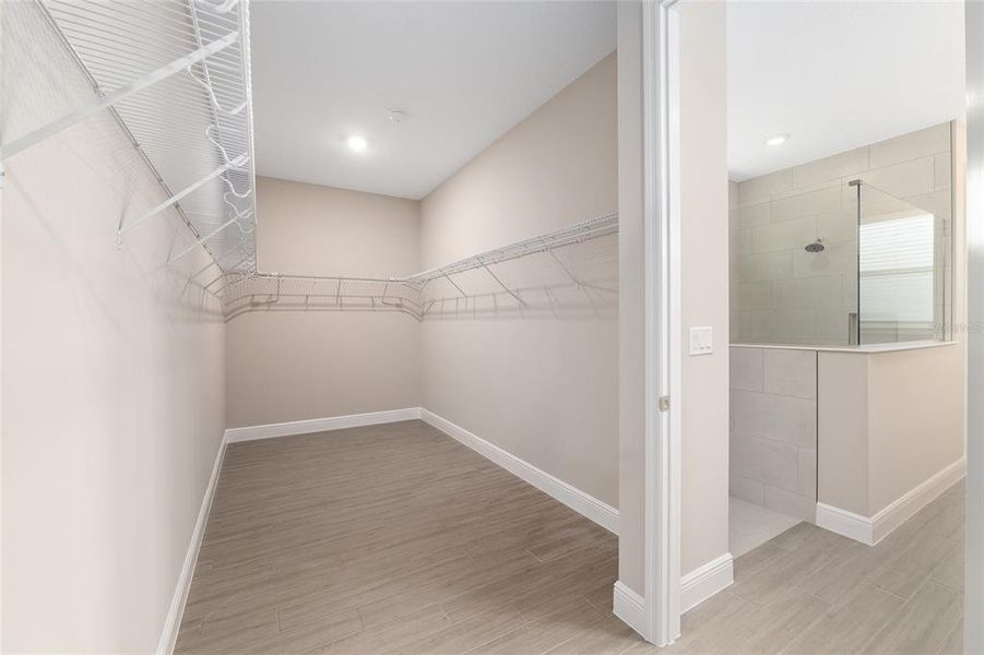 Spacious, unfurnished interior of a new home in , Ocala (Image 41).