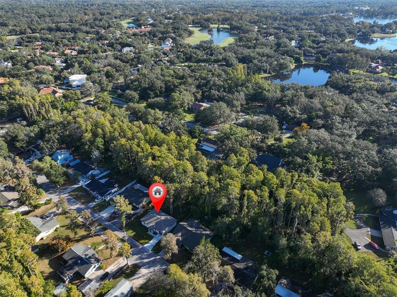 Front exterior of a new home in , Tampa, FL, highlighting curb appeal (Image 26). Front exterior of a new home in , Tampa, FL, highlighting curb appeal (Image 26).