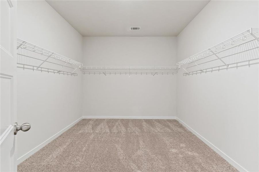 Spacious, unfurnished interior of a new home in Rosewood Lake Estates, Hoschton (Image 28).