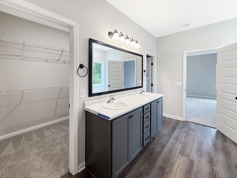 Furnished interior view inside a new home in Tibet Road at Sassafras, Allenhurst (Image 10).