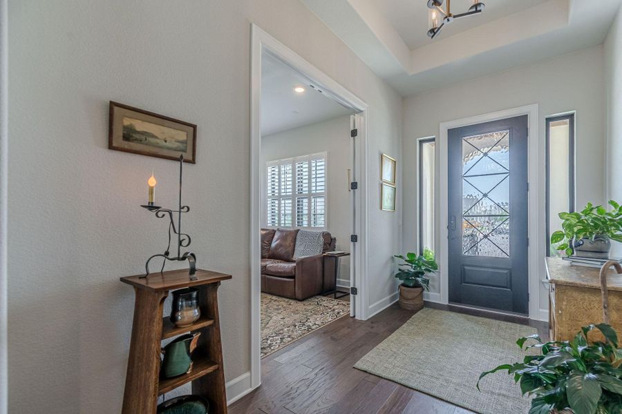 Foyer entrance with plenty of natural light, dark wood-style floors, a raised ceiling, and a chandelier