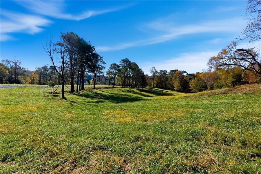 Natural landscape and outdoor views near  in Alpharetta (Image 9).