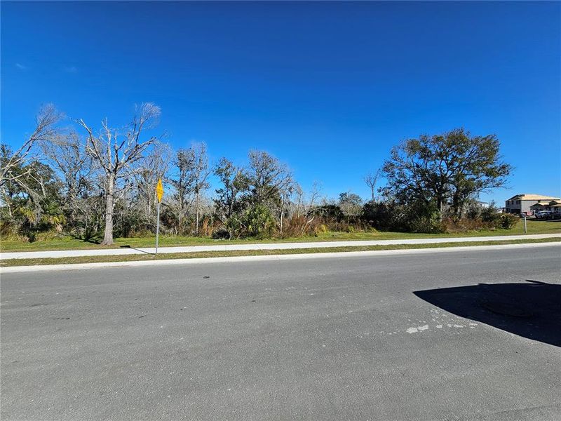 Natural landscape and outdoor views near Bella Lago in Parrish (Image 37).