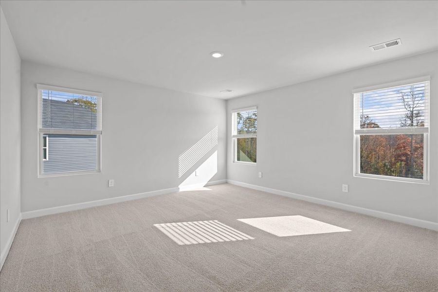 Spacious, unfurnished interior of a new home in Creek Ridge - Heritage Collection, Spartanburg (Image 12).