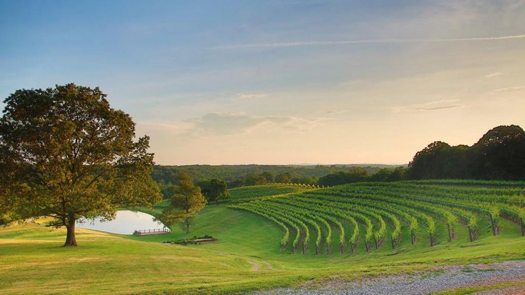 Natural landscape and outdoor views near Mountain Park in Dahlonega (Image 61). Natural landscape and outdoor views near Mountain Park in Dahlonega (Image 61).