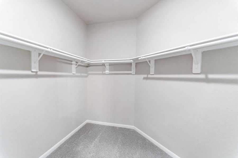 Spacious, unfurnished interior of a new home in Windrose Green, Angleton (Image 16).