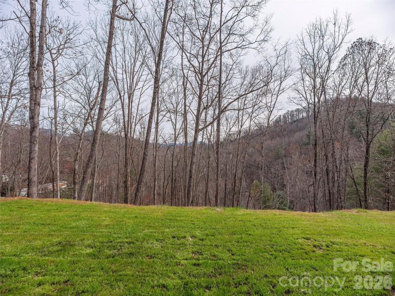 Natural landscape and outdoor views near  in Waynesville (Image 32).