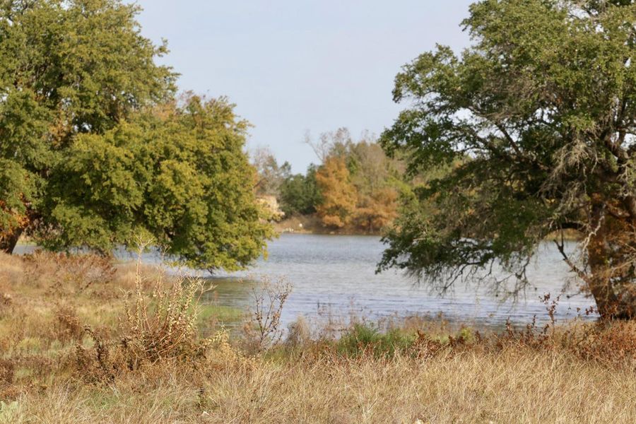 Natural landscape and outdoor views near Lariat in Liberty Hill (Image 23).