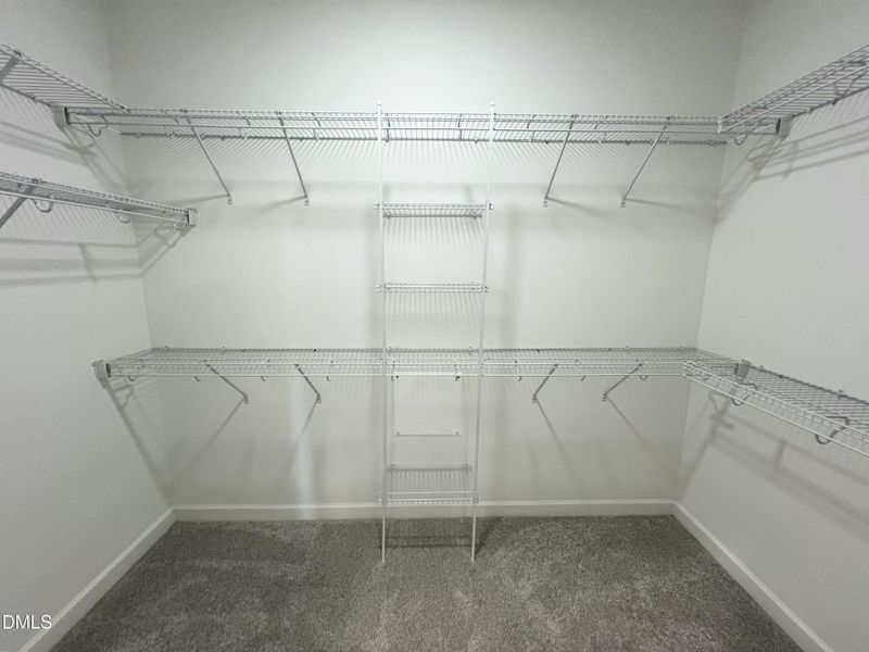 IMG_6872 2 IMG_6872 2