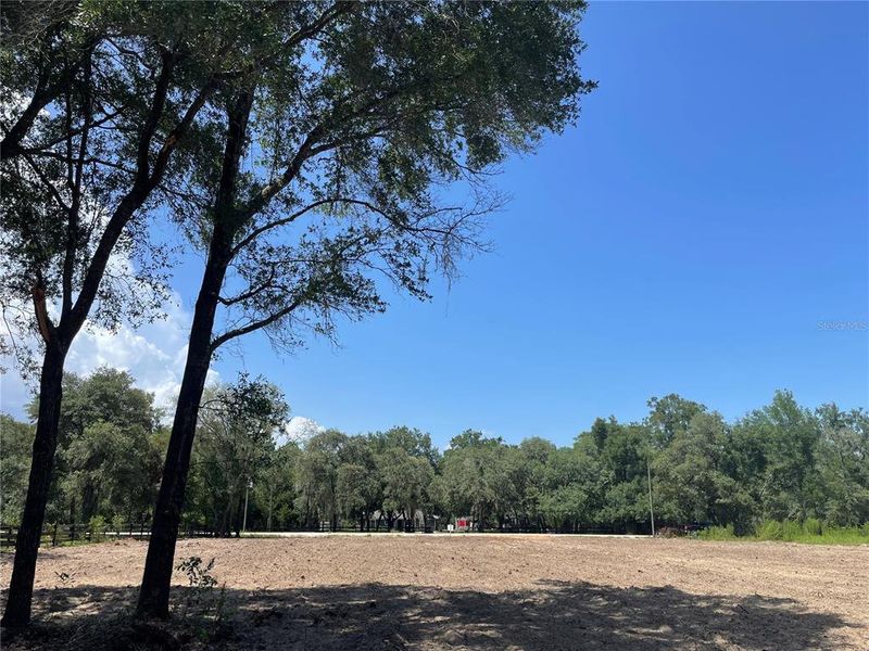 Natural landscape and outdoor views near in Dunnellon (Image 44). Natural landscape and outdoor views near in Dunnellon (Image 44).