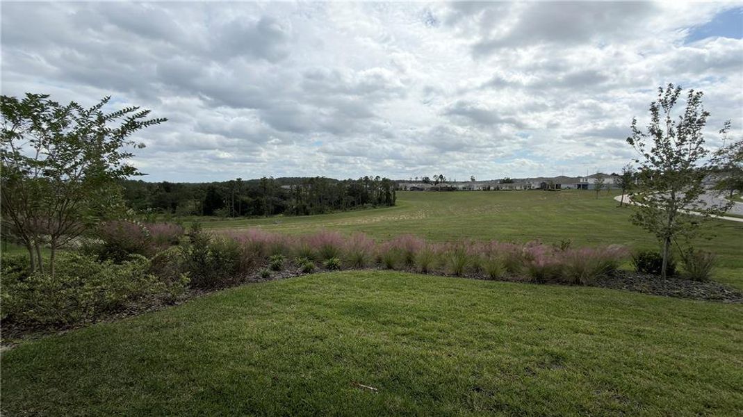Natural landscape and outdoor views near Willow Ridge in Montverde (Image 39).