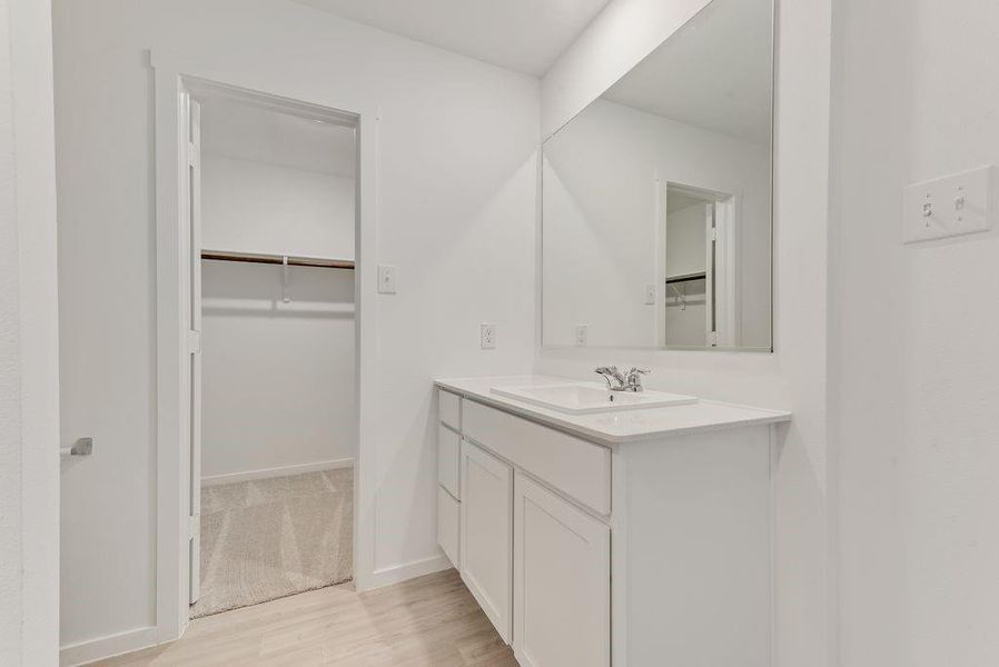 Bathroom featuring baseboards, a walk in closet, wood finished floors, and vanity