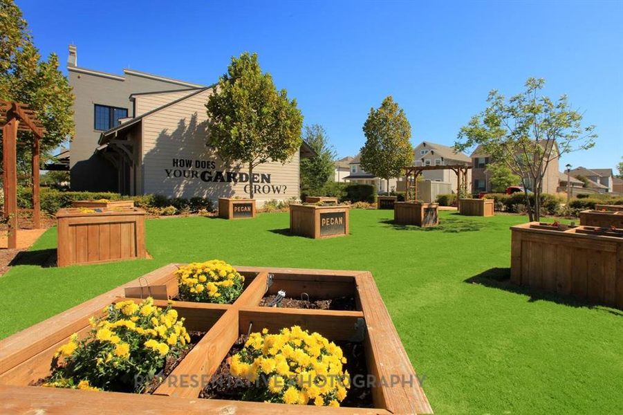 Image 21 of a home in Pecan Square: 50ft. lots.