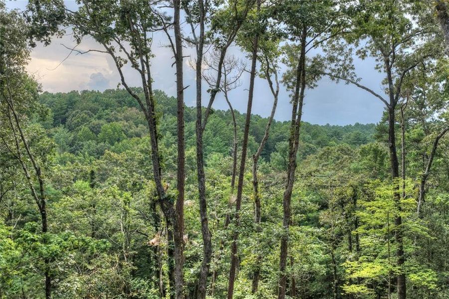 Natural landscape and outdoor views near in Ellijay (Image 47). Natural landscape and outdoor views near in Ellijay (Image 47).