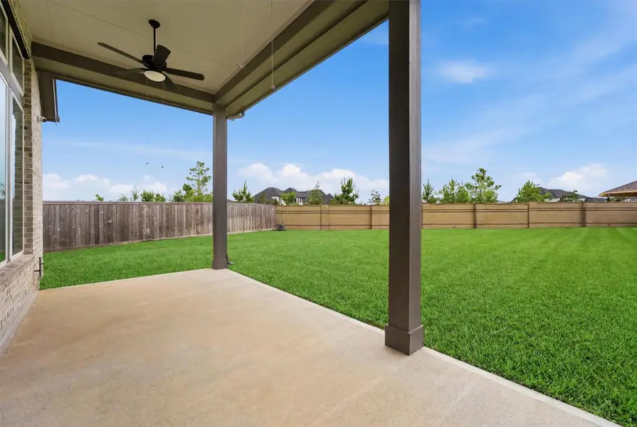 Large backyard