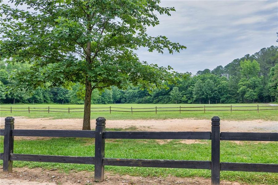 Natural landscape and outdoor views near Livingstone Park in Kennesaw (Image 26).