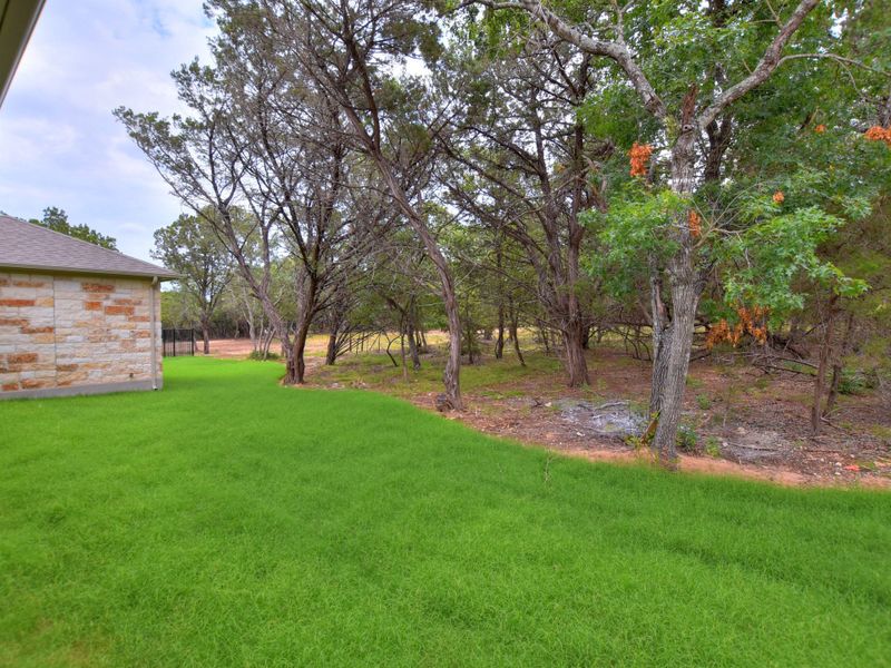 Outdoor and nature views near homes built from the Avalon by Giddens Homes in Scofield Farms Estates, Georgetown (Image 227).