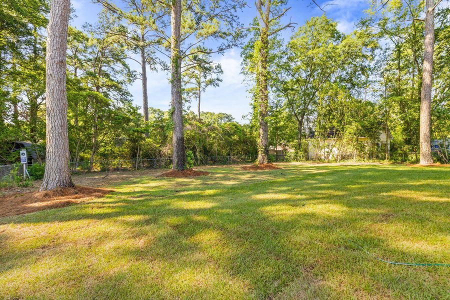 Natural landscape and outdoor views near  in Summerville (Image 32).