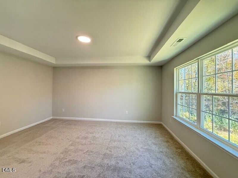 100 VR Primary 2 100 VR Primary 2