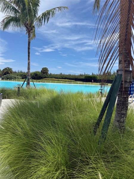 Natural landscape and outdoor views near in North Miami (Image 46). Natural landscape and outdoor views near in North Miami (Image 46).