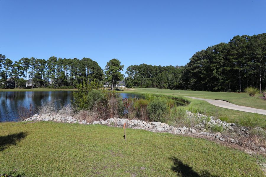 Natural landscape and outdoor views near Bally Castle in Murrells Inlet (Image 35).