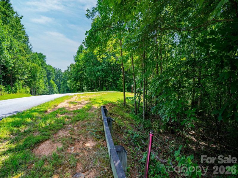 Natural landscape and outdoor views near  in Mill Spring (Image 14).