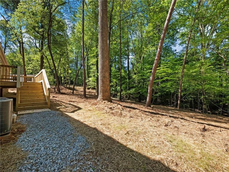 Natural landscape and outdoor views near  in Gainesville (Image 39).