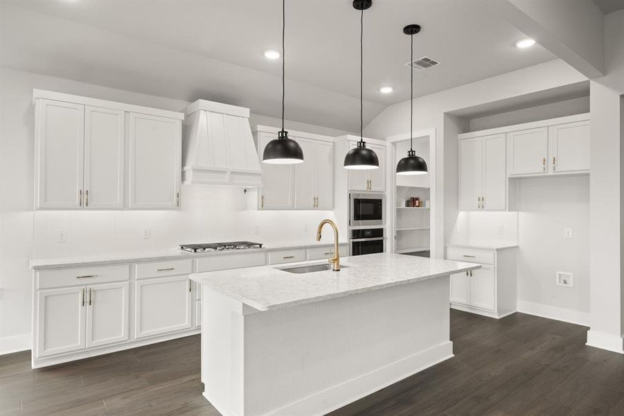 1721 Nesting Robin- Kitchen-2