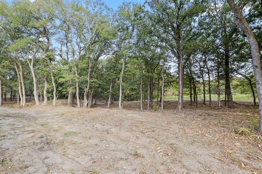 Natural landscape and outdoor views near in Purdon (Image 21). Natural landscape and outdoor views near in Purdon (Image 21).