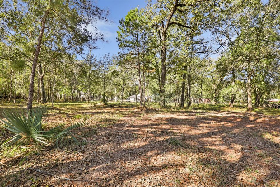 Natural landscape and outdoor views near in Magnolia (Image 33). Natural landscape and outdoor views near in Magnolia (Image 33).