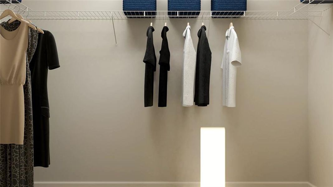 View of walk in closet View of walk in closet