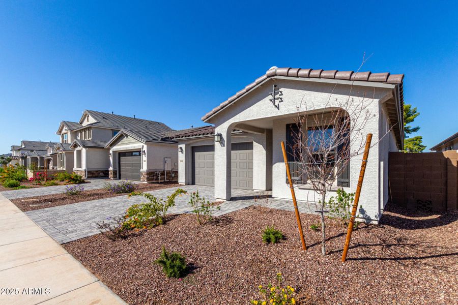 03 - Las Palmaritas 03 - Las Palmaritas