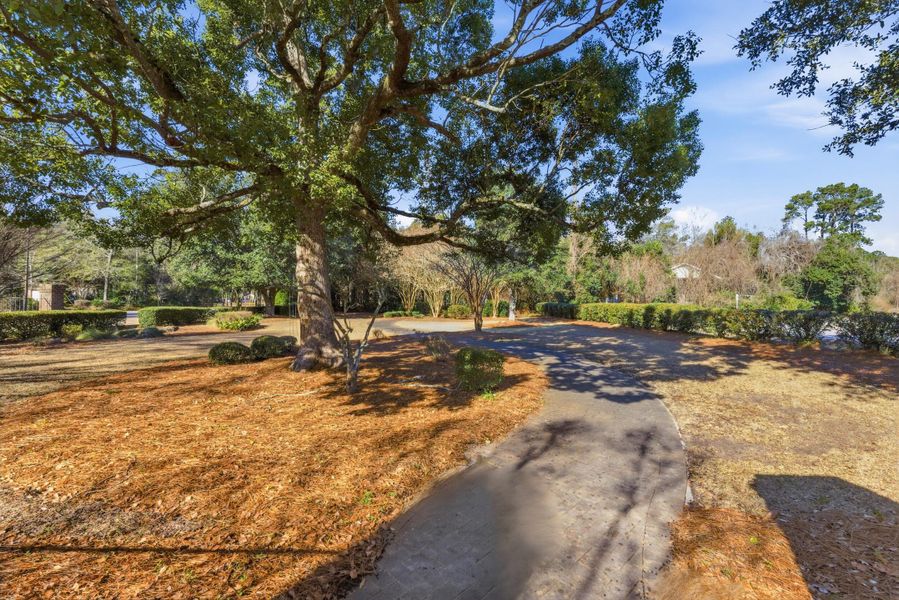 Natural landscape and outdoor views near  in Summerville (Image 29).