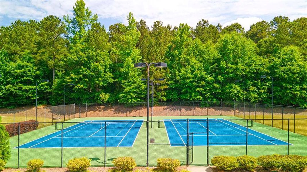 Community amenities in Heritage Pointe, Senoia (Image 63).