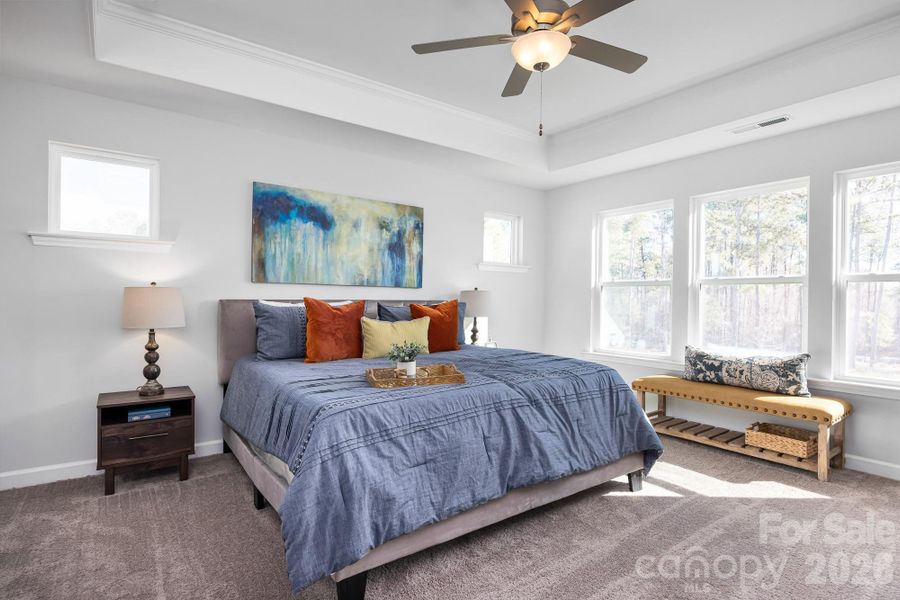 Dramatic 10' high Owner's Suite Tray Ceiling