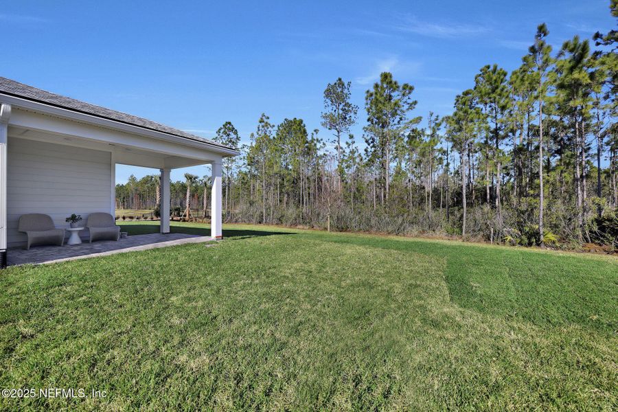 Exterior details and patio area of a home in Murray Farms, Middleburg (Image 3).