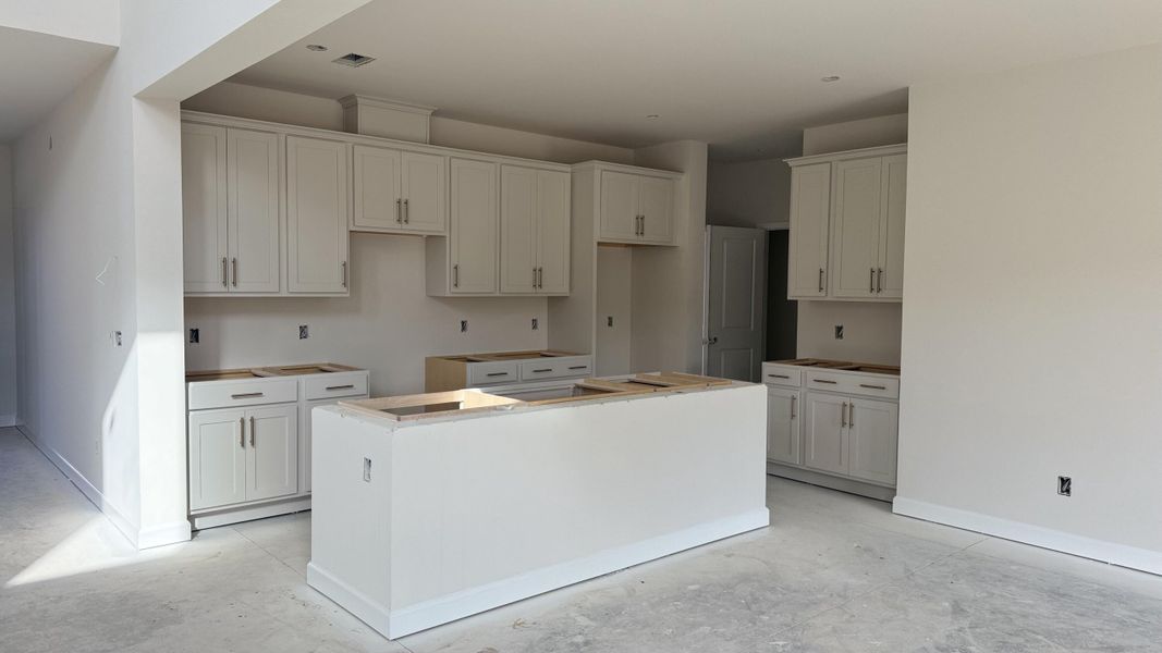 In-progress construction of a new home in , Summerville, SC (Image 21). In-progress construction of a new home in , Summerville, SC (Image 21).